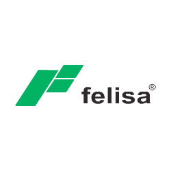 Felisa